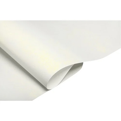 Canvas Painting Sheet